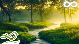 Daydreaming: Relaxing Flute & Piano Music with Trickling Water Sounds for Spa, Meditation & Sleep