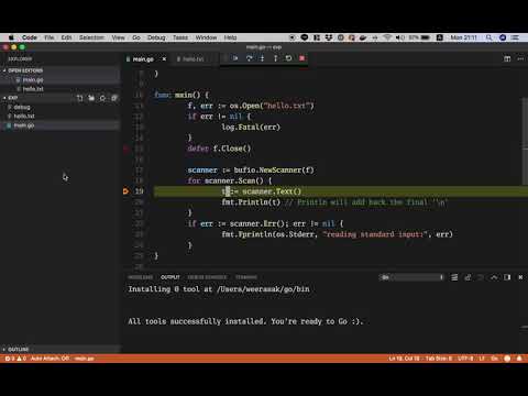 Go Debug ด้วย VSCode