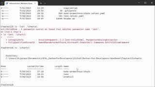 Containers for Developers Handbook | 12. Gaining Application Insights