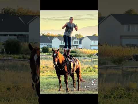 Just horsing around… #1923 #horse #horsegirl #horizon #horseriding #horsebackriding #horseride