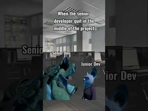 When senior developer quits in the middle of the project