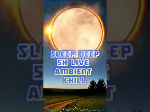 Sleep & Study | Ambient Synthwave | No Ads
