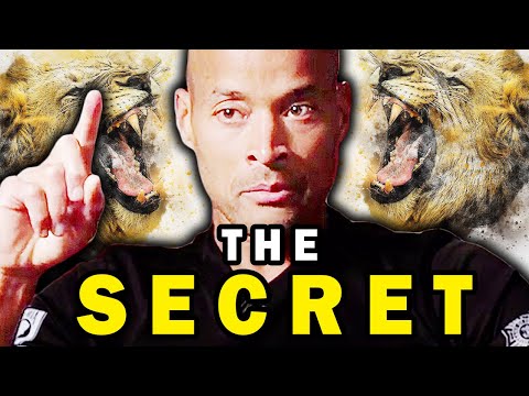 THE LAW OF ACTION - David Goggins