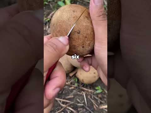 Have you ever helped someone win and they ended up losing everything?