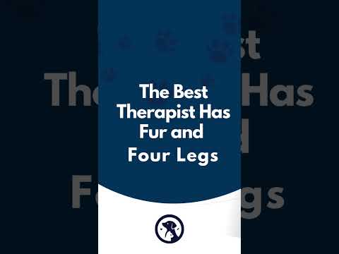 The Best Therapist Has Fur and  Four Legs