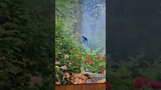 puzzle problems? just do this