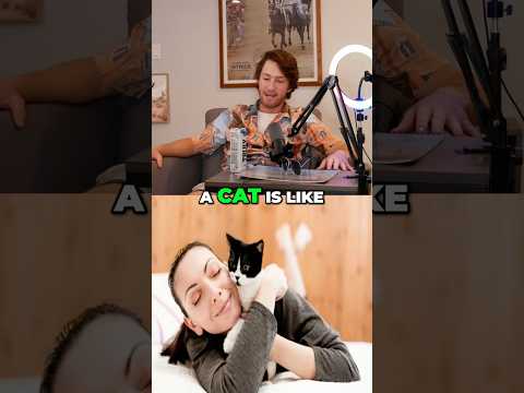 Why CATS Make TERRIBLE Pets😾🚫 #shorts #catvsdog #badcat #petproblems #funnypets