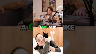 Why CATS Make TERRIBLE Pets😾🚫 #shorts #catvsdog #badcat #petproblems #funnypets