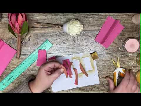 Mini Paper Proteas