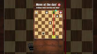 Move of the day! 🎯 #chess #chessanalysis #learnchinese