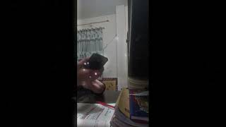 Cozy study table tour and study with me. ☺️🌺