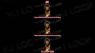 VJ LOOP 526 #loops
