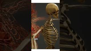 Medical Coding Training 2025 | Learn ICD-10, CPT, HCPCS | Best Career in Healthcare