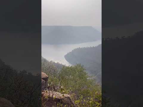Octopus View Point, Nallamala Forest 🌳 #nallamalaforest #shorts #srisailam