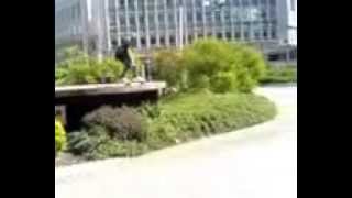 Andy - Sick Hedge Gap