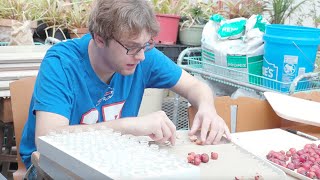 Everything You Need To Know About CCS