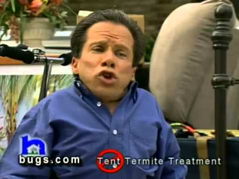 No tent termite! | Hulett Environmental Services