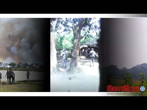 forcing Muslims Myanmar