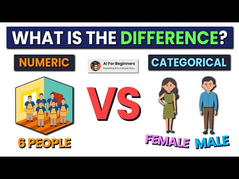 Numerical vs. Categorical Data | Represent Your Dataset Correctly!