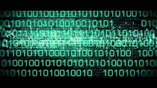 Brains vs. Computers