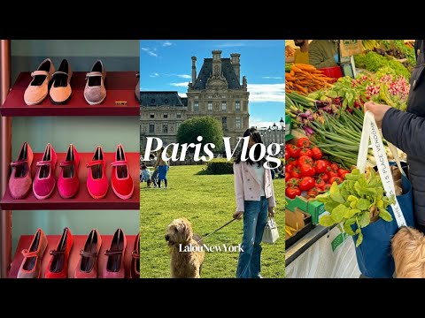 Paris Vlog | Paris life with dog | World Best Top 10 restaurant | Paris fresh market | flabelus