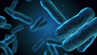 Dr. Christopher Stewart on microbiome research