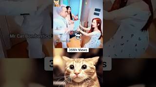 MR BOMBASTIC MOMENT ☠️💥 #shorts #tiktok #cat #memes #mrbombastic #catbombastic | MrCatBombastic2.0