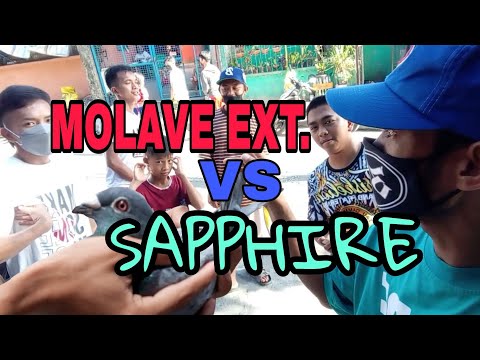 MOLAVE EXT. VS SAPPHIRE (HAGISAN SA FISHERMALL)