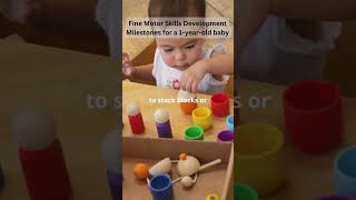 Fine Motor Skills Development Milestones for a 1 year old baby