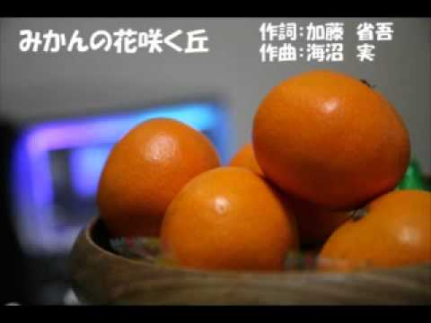 みかんの花咲く丘　（複音ハーモニカ）