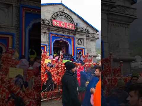 आज के केदारनाथ मंदिर दर्शन#ytshorts#kedarnath#hindupilgrimage#travel#mountains