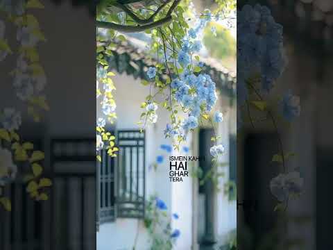 #LoveSongsForever#slowed#CoupleGoalsMusic#TaylorSwiftLove#ShawnMendesRomance#JustinBieberLoveSongs