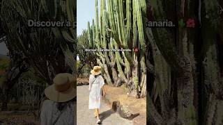 Discover Jardín Canario, a paradise in Gran Canaria. 🌵 #travelspain #grancanaria #botanicalgarden