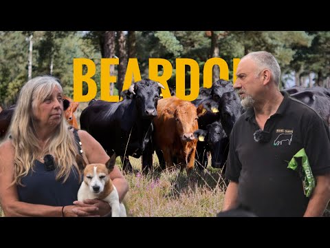 Challenging Everything You Know About Beef Farming | Herd Field Trip