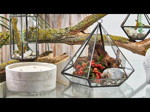 Glass Terrariums