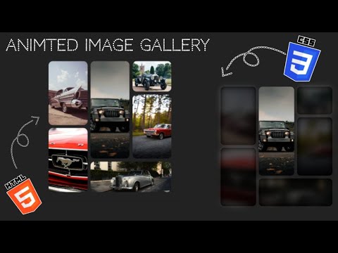 Animated Image 🌌Gallery Made With Pure HTML CSS and JavaScript || With 💥Free Source Code🧑‍💻 Link 👇👇👇