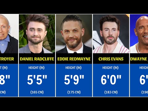 Heights of Hollywood Actors || Shortest to Tallest