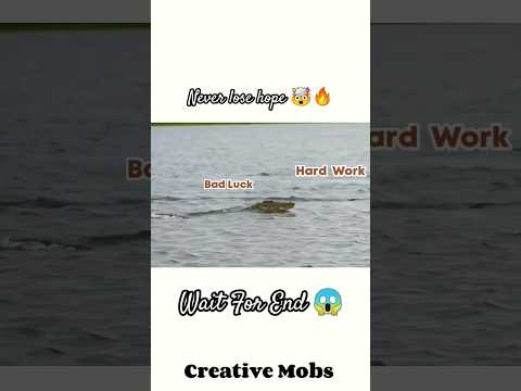 never lose hope👀🔥 l motivation l shorts l hope l viral l waitforend l motivation l motivational