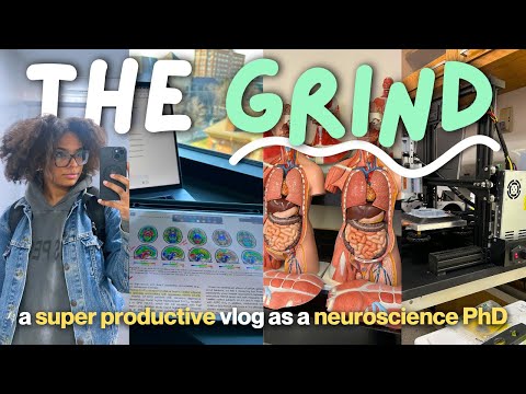 THE GRIND | a super productive study vlog as a neuroscience PhD student