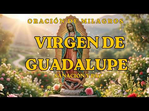 Milagros y Sanación Continua | Virgen de Guadalupe | 528Hz+432Hz Sacred Healing Music (2h)