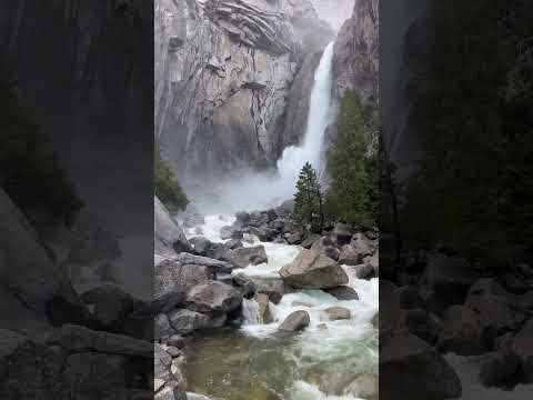 Trip To Yosemite National Park #adventure #yosemitefalls #yosemitenationalpark #travelling