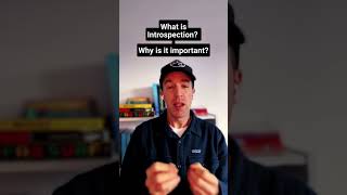 What is introspection?