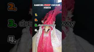 Ranking funny chicken videos 🐔
