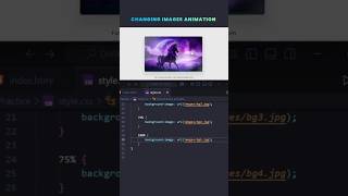 Create a Responsive CSS Image Grid with Smooth Transforms & Hover Animations 2025 Tutorial #css
