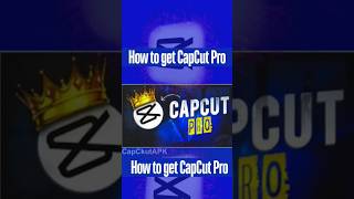 1 Best AI Website Tips & Tricks