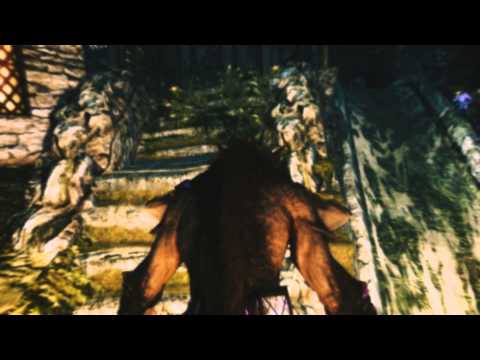 Skyrim Enhanced to PERFECTION-well Almost