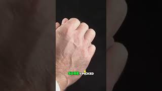 Mastering Coding: Conquering Mount Everest with Website Development