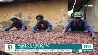 Cocoa beans shortage: COCOBOD assures local processing companies of more supply
