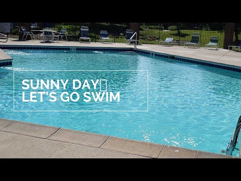 Let's go swim 🌞
