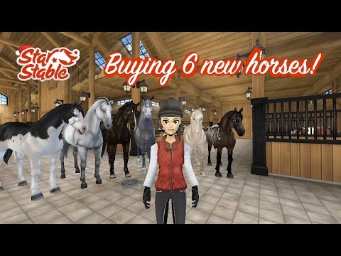 Buying 6 new horses | Star Stable